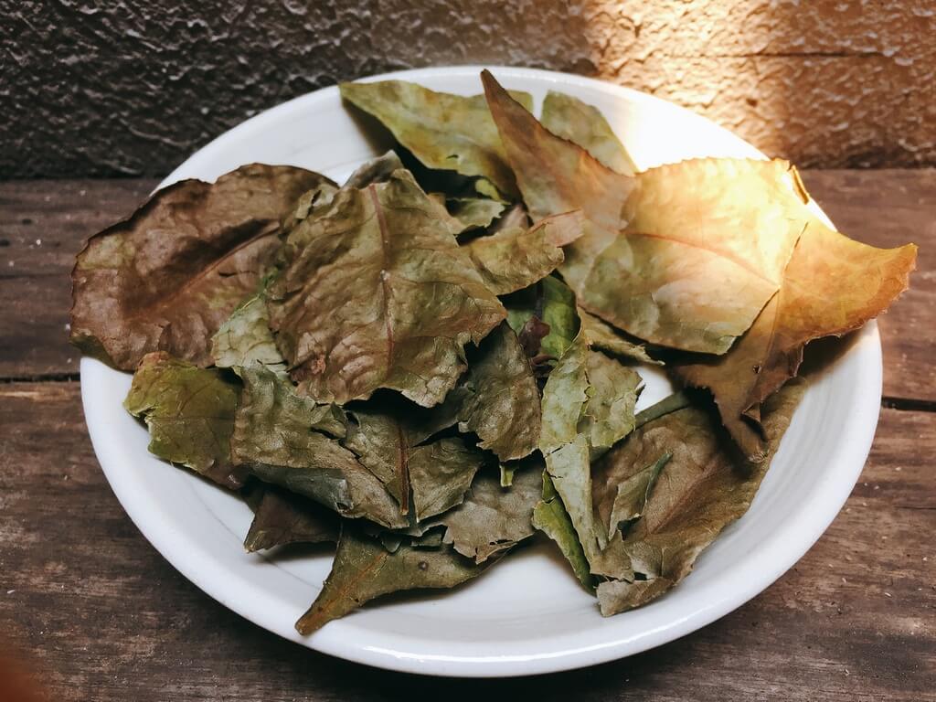 Trà Bancha Cổ Thụ - Ahimsa House