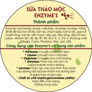 Sua Thao Moc Enzymes An Thuc Kem 5