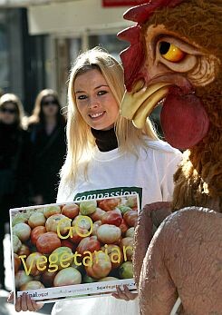 Portugal Vegetarian Campaign
