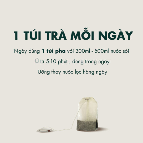 Trà Detox Kamamila hỗ trợ tiêu mỡ, thanh lọc cơ thể, detox giảm cân và giảm mỡ bụng-100% thảo dược tự nhiên Hộp 15 túi