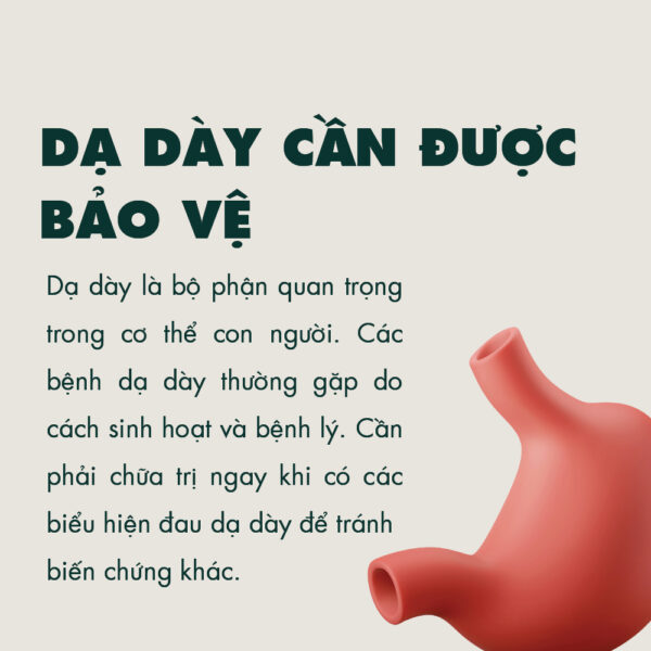 Bột Dạ Dày Kamamila Hỗ trợ giảm chứng đầy hơi, giảm đau dạ dày 100% từ thảo dược