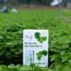 Bột Rau Má Đậu Xanh Hữu Cơ – Hằng Organic hộp 20 gói x 10gr