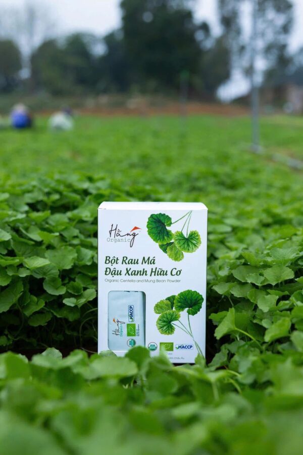 Bột Rau Má Đậu Xanh Hữu Cơ – Hằng Organic hộp 20 gói x 10gr