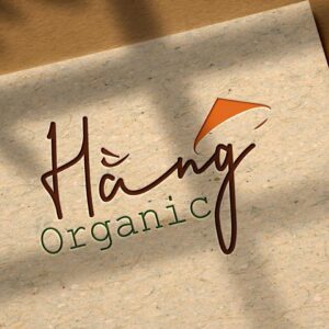 Trà Gừng Hữu Cơ – Hằng Organic 20 gói x 5g