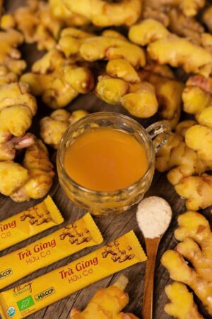 Trà Gừng Hữu Cơ – Hằng Organic 20 gói x 5g