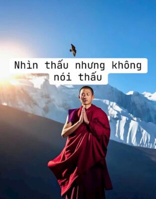 Nhìn thấu nhưng không nói thấu – Cảnh giới của một tâm hồn từng trải