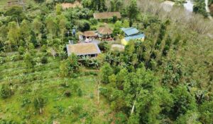 9X xứ Thanh biến đồi hoang thành vườn bản Thổ vạn người mê
