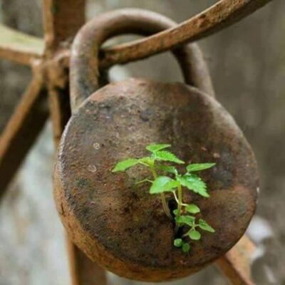 GIÁ TRỊ TỪ NHỮNG ĐAU ĐỚN, GIAN NAN…