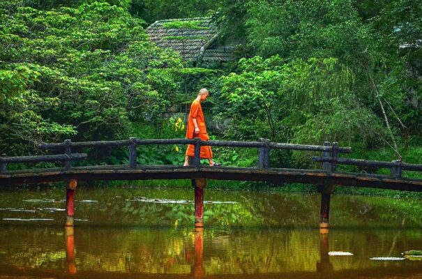 “Con hãy là hải đảo của chính mình, là nơi nương tựa của chính mình, không có nơi nương tựa nào khác”.