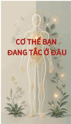 Cơ Thể Bạn Đang Tắc Ở Đâu?