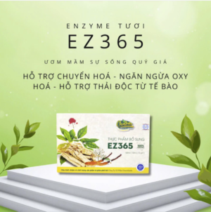ENZYME 365 TỪ HƠN 300 LOẠI THẢO DƯỢC