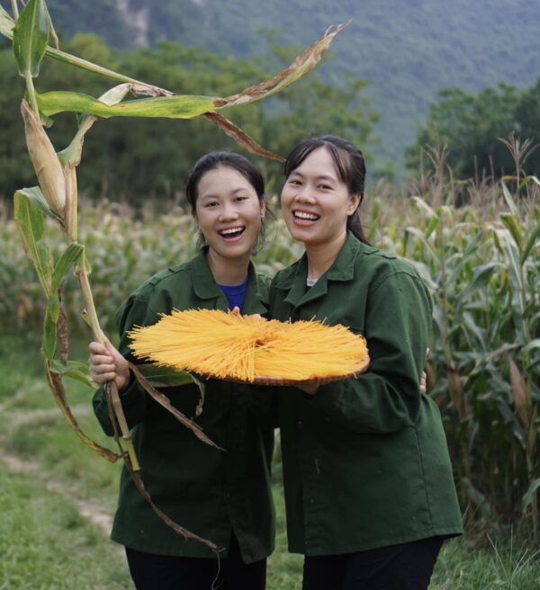 Mì Ngô Vietnam Napro không biến đổi gen và không chứa Gluten