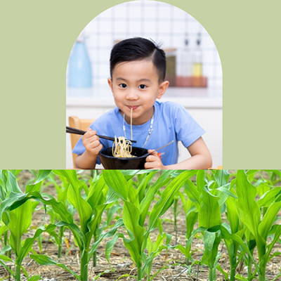 Mì Ngô Vietnam Napro không biến đổi gen và không chứa Gluten