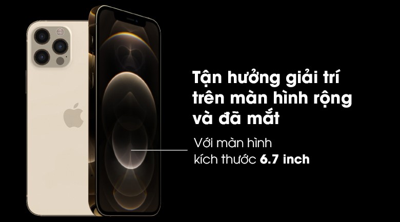 Điện thoại iPhone 12 Pro Max cũ