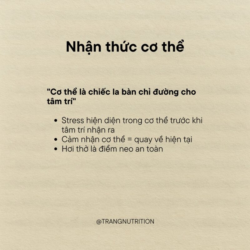 10 bài học về Thiền Vipassana đã dạy tôi 1 năm qua