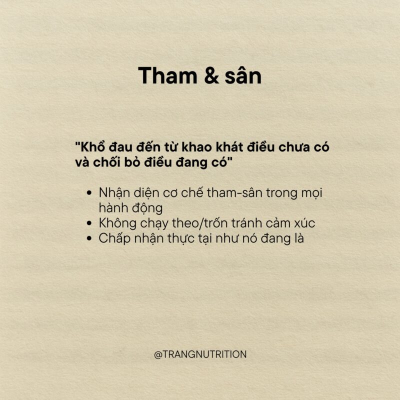 10 bài học về Thiền Vipassana đã dạy tôi 1 năm qua