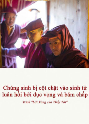 “Lời Vàng của Thầy Tôi”