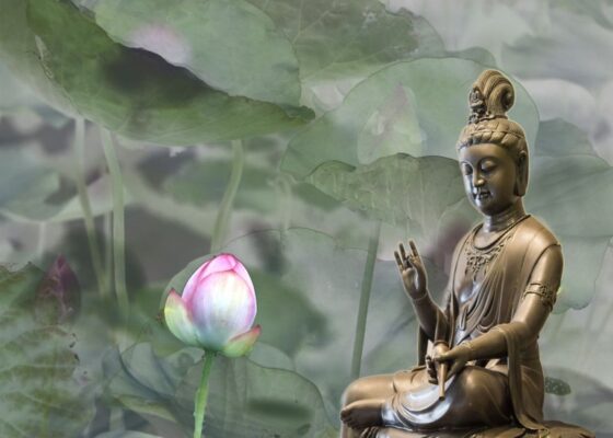 Tâm từ bi trong tâm lý học Phật giáo