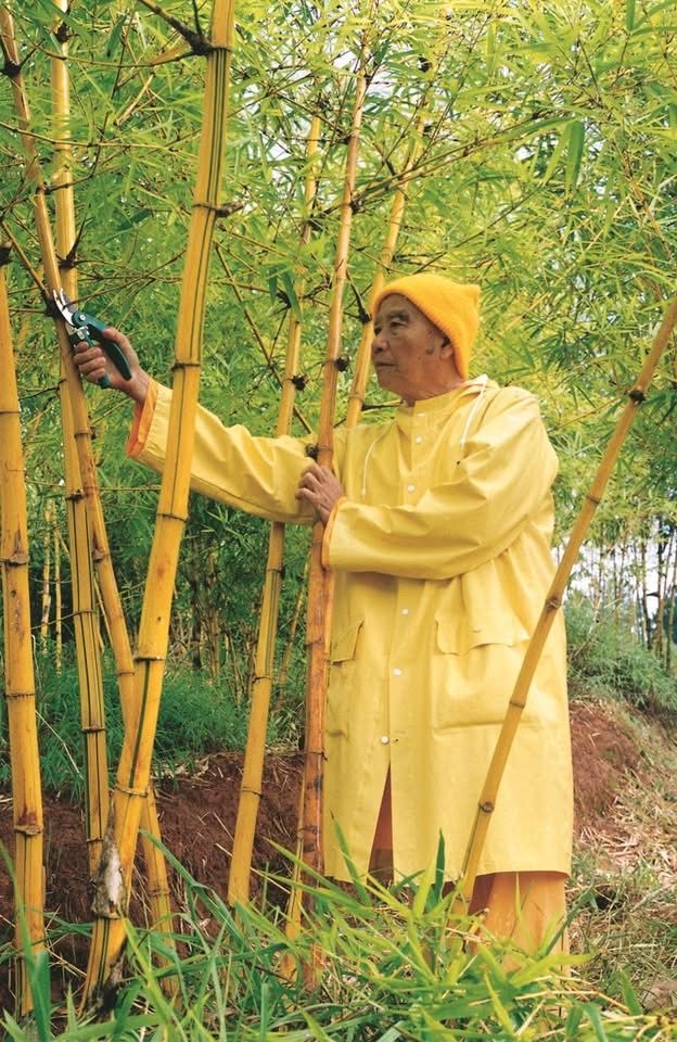 Xuân Phụng Hoàng Tập 1 – HT Thích Thanh Từ