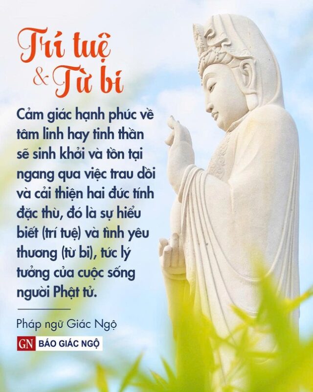 Học theo hạnh Bồ-tát Quán Thế Âm: Hiến tặng năng lực không sợ hãi