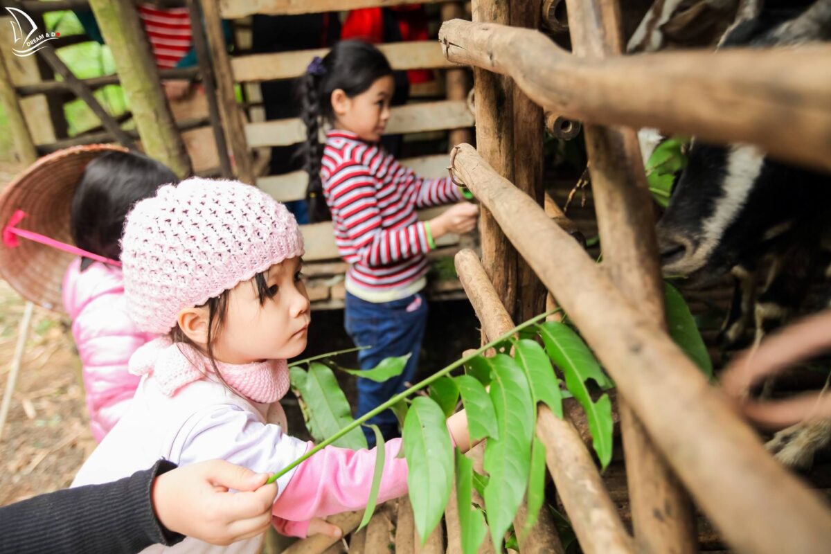 BẢO ANH – CÔ NÀNG BÉ BỎNG CỦA I AM A FARM KID