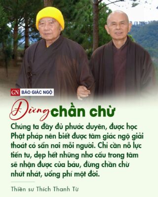 Đừng chần chừ