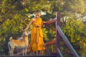 Lưu nháp tự động