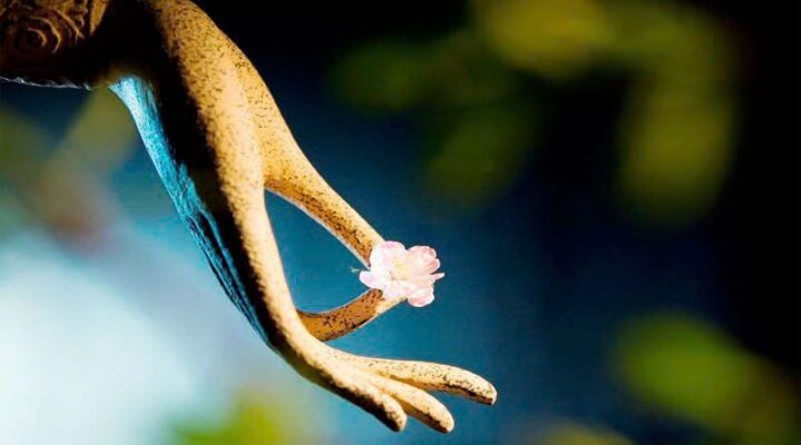 …TU HỌC LÀ “TRỞ VỀ”, KHÔNG PHẢI “TRỞ THÀNH”