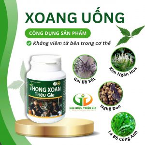 THÔNG XOAN TRIỆU GIA